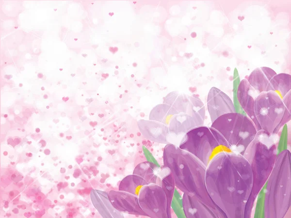 Vektor Frühling Violette Krokusse Blumen Auf Rosa Bokeh Hintergrund Grußkarte — Stockvektor