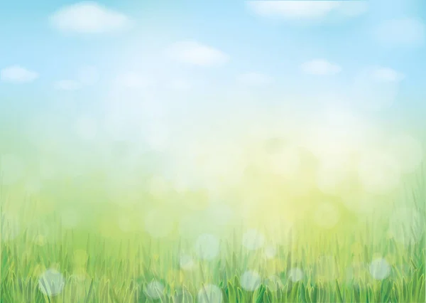 Vector Summer Nature Background Blurred Effect — Stock Vector