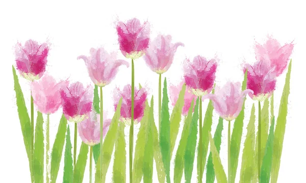 Εικονογράφηση Διάνυσμα Όμορφη Ροζ Τουλίπες Λουλούδια Που Απομονώνονται Λευκό Φόντο — Διανυσματικό Αρχείο