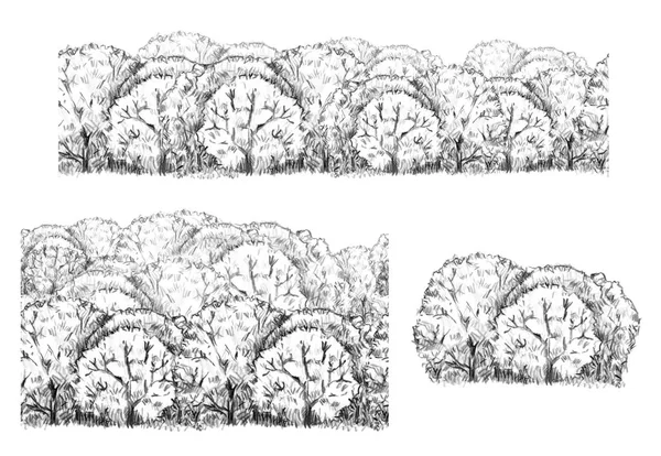 白色背景上未上色的树集 — 图库照片