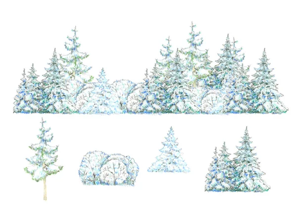 Зимовий Ліс Ізольований Білому Тлі — стокове фото
