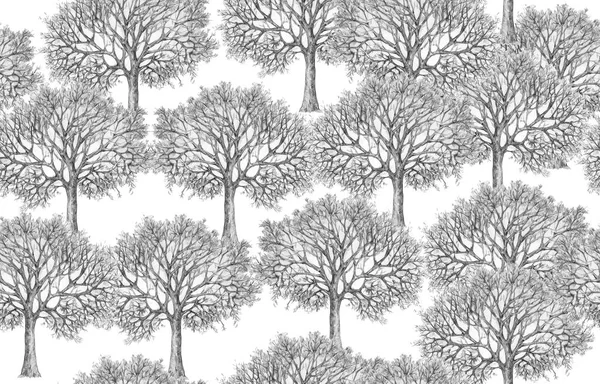 Wzór Sylwetki Drzew Białym Tle — Zdjęcie stockowe