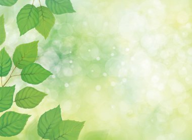 Bokeh arka planda, vektör çizim yeşil yaprakları