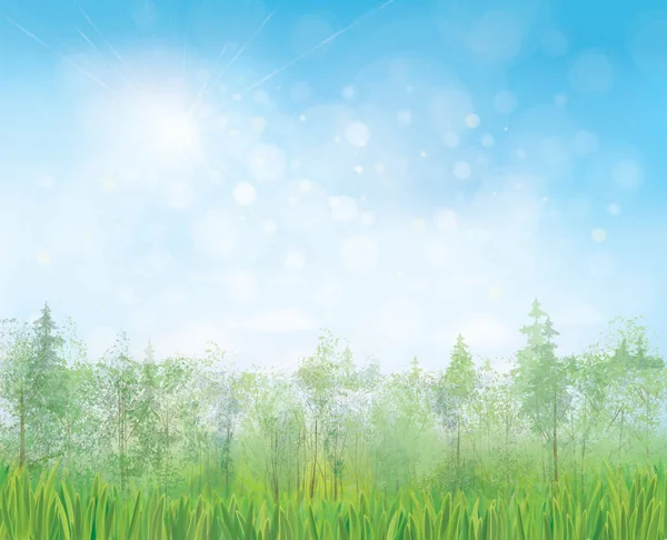 Forêt Verte Avec Herbe Sous Fond Bleu Vif Brillant Ciel — Image vectorielle