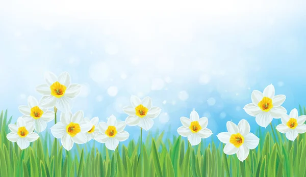 Narcissen Bloemen Het Gras Blauwe Hemelachtergrond — Stockvector