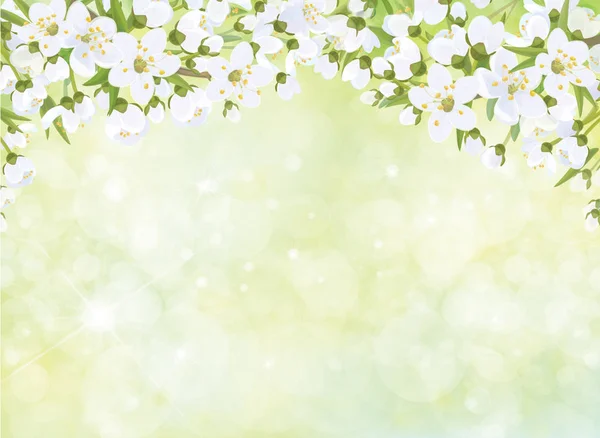 Blossoming Branches Apple Tree Green Bokeh Background — Stock Vector