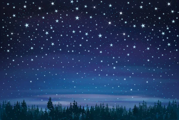 Noche Vectorial Cielo Estrellado Fondo Del Bosque — Vector de stock