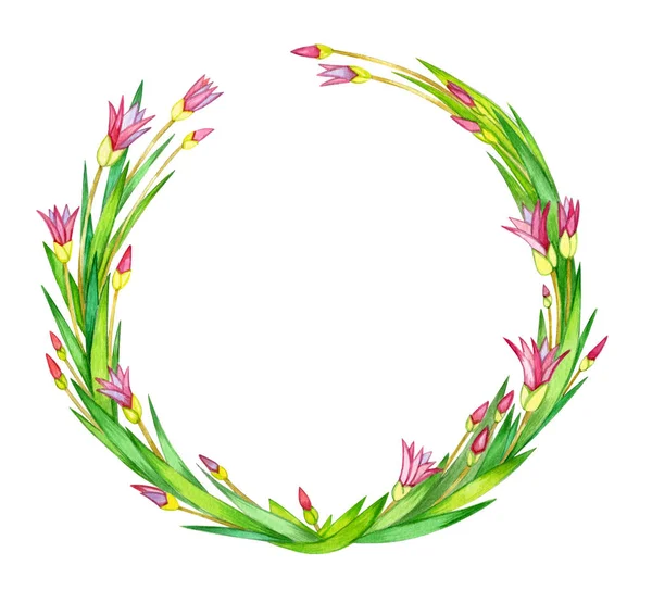 Flowers Leaves Circle Frame White Background — Stock Photo, Image