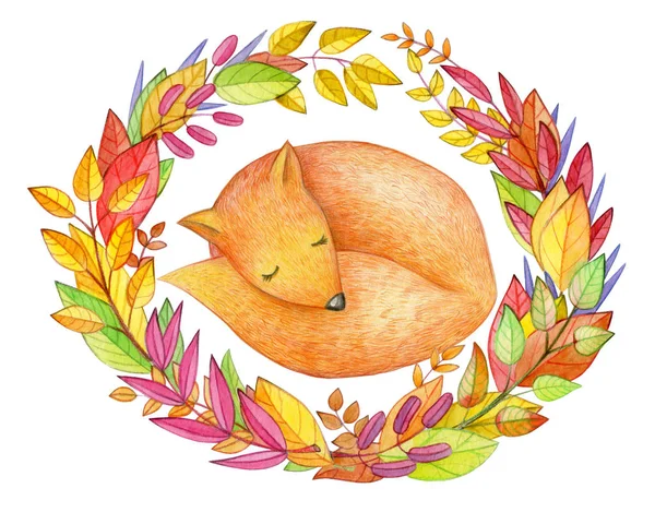 Sleeping Fox Autumnal Leaves White Background — Stock Photo, Image
