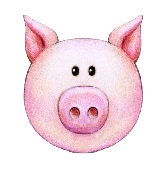 Schweinekopf Isoliert Auf Weißem Hintergrund — Stockfoto