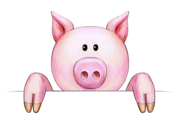 Piggy Cartone Animato Isolato Sfondo Bianco — Foto Stock