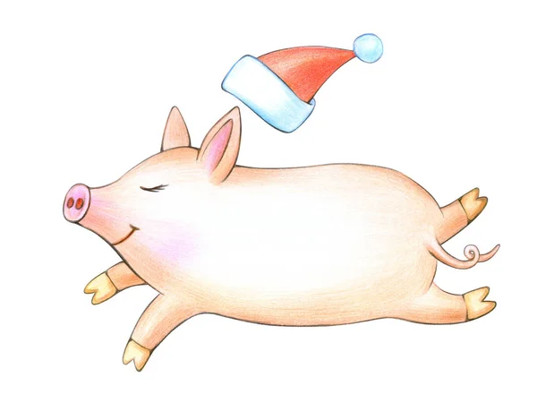 Funny Running Pig Cartoon Christmas Hat White Background — Stock Photo, Image