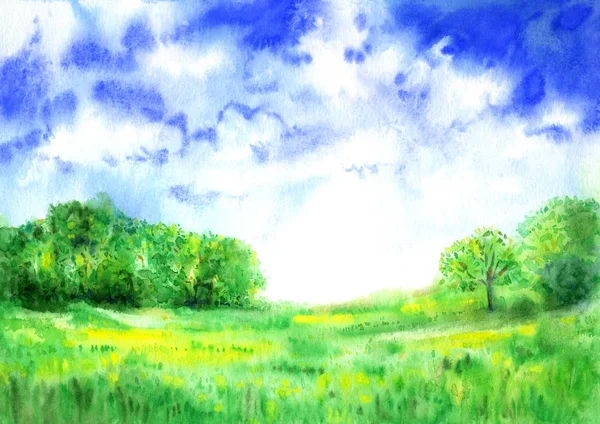 Літній Пейзаж Блакитним Небом Зеленим Лісовим Фоном — стокове фото