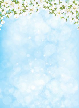 elma ağacı mavi bokeh arka plan üzerinde çiçek dalları