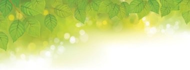 Vektör yeşil yaprakları yeşil bokeh arka plan üzerinde kenarlık.