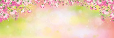 İlkbaharda vektör pembe çiçek kenarı, bokeh arkaplan.