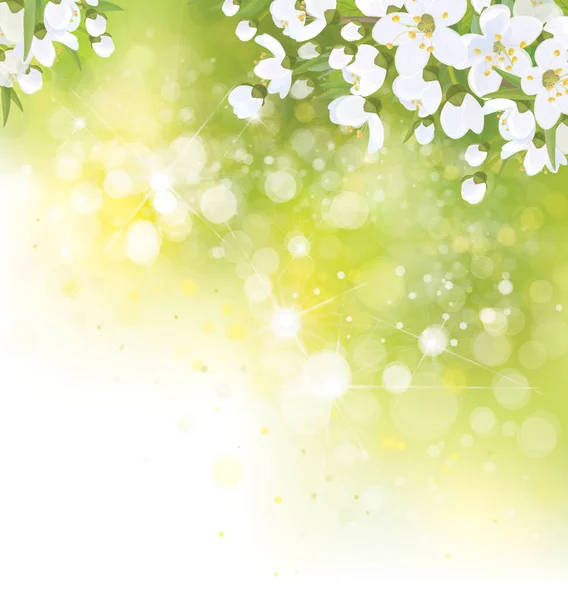 矢量花，自然背景。白色的花和叶子 — 图库矢量图片