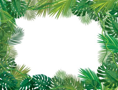 Vektörel çerçeve, tropikal yapraklar izole.