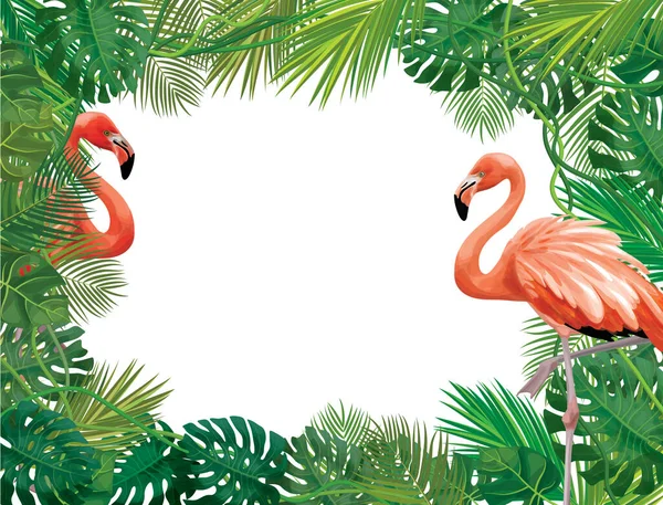 Vectot Floral Frame Tropical Leaves Flamingos Isolated — Stock Vector