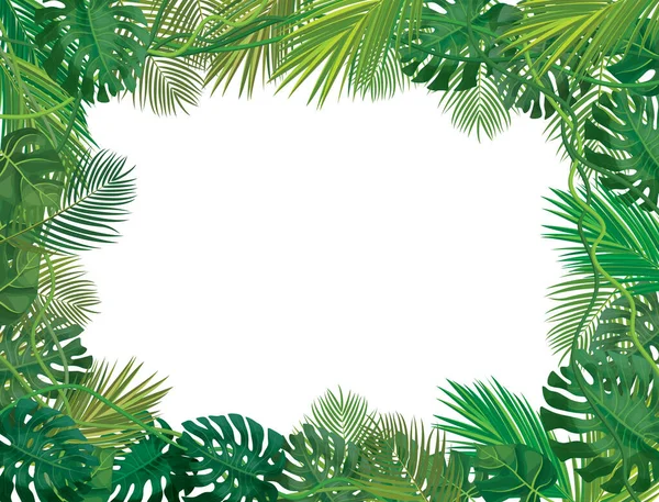 Vectot Frame Tropical Leaves Isolated — Stock Vector