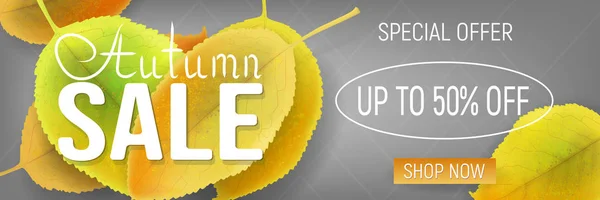 Sale Banner Colorful Fall Leaves Autumn Flyer Gray Background Discount — Stock Photo, Image