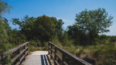 Torcello adasında tahta köprü ve patika Venedik, İtalya