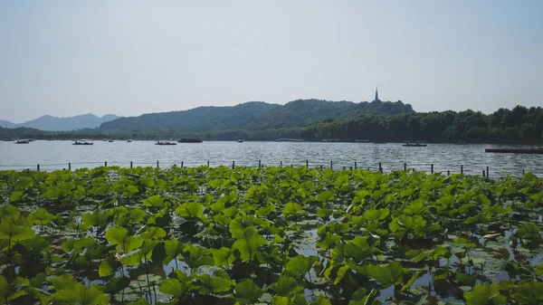 中国杭州西湖景观 — 图库照片