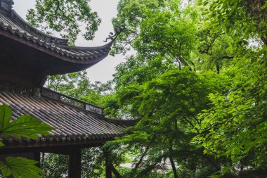 Batı Gölü yakınlarındaki parkta geleneksel Çin pavyonu, Hangzhou, C
