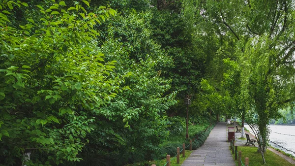 Cesta mezi stromy v parku u West Lake, Hangzhou, Čína — Stock fotografie