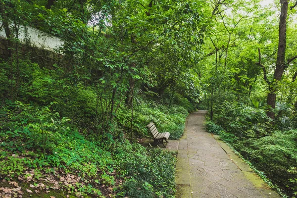Camino entre los árboles en el parque por West Lake, Hangzhou, China —  Fotos de Stock