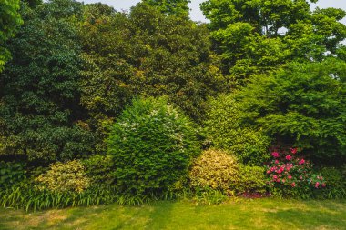 Batı Gölü yakınlarındaki çimenler ve ağaçlar, Hangzhou, Çin