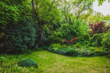 Batı Gölü yakınlarındaki çimenler ve ağaçlar, Hangzhou, Çin