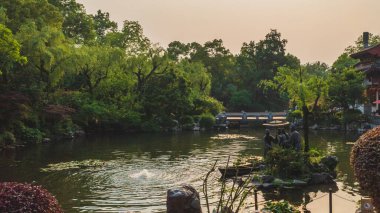 Pond in park by West Lake, Hangzhou, China