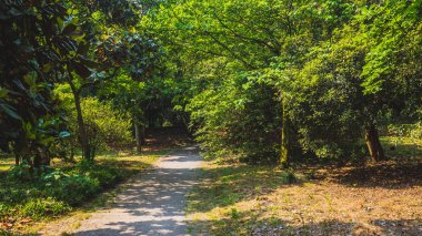 Path among woods in park near West Lake, Hangzhou, China