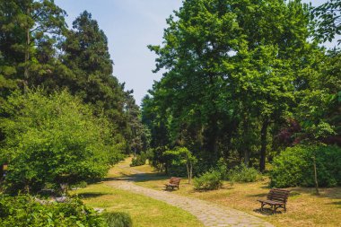 Path among woods in park near West Lake, Hangzhou, China