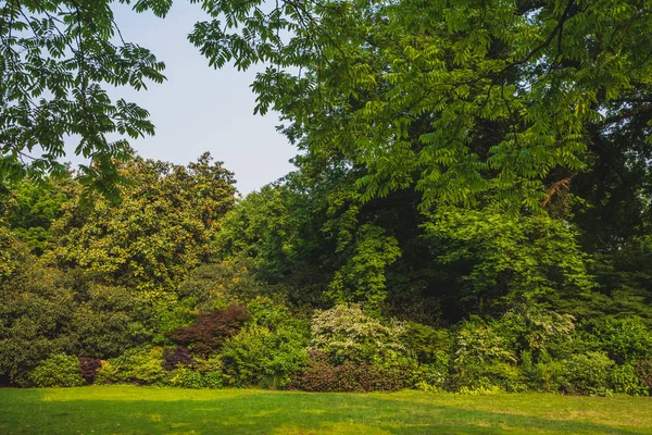 Rasen und Bäume im Park in der Nähe des Westsees, Hangzhou, China — Stockfoto