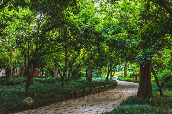 Caminho em bosques no parque por West Lake, Hangzhou, China — Fotografia de Stock