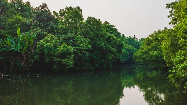 Lesy u jezera West Lake, Hangzhou, Čína — Stock fotografie