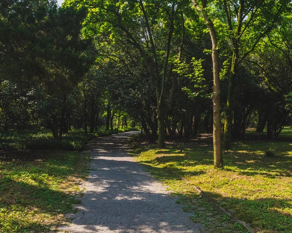 Camino entre los bosques en el parque cerca de West Lake, Hangzhou, China —  Fotos de Stock