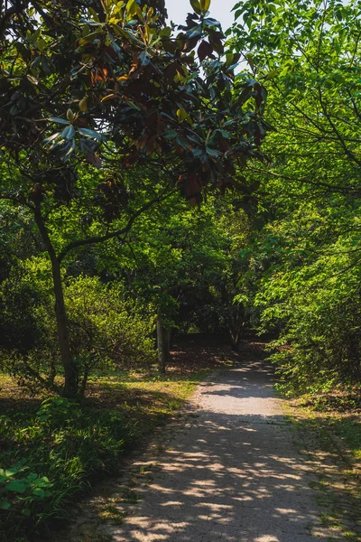 Caminho entre as florestas no parque perto de West Lake, Hangzhou, China — Fotografia de Stock