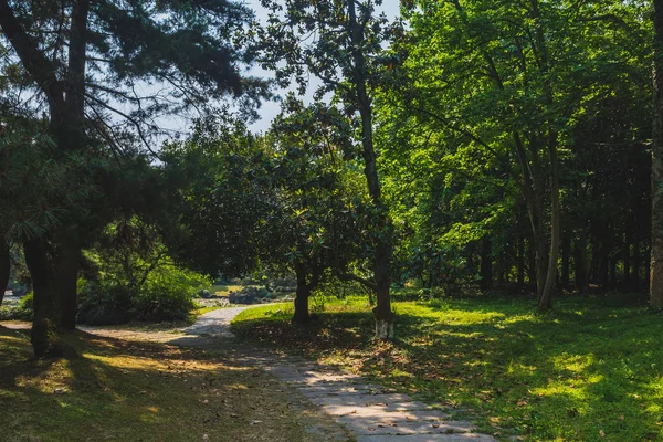 Cesta mezi lesy v parku u Západního jezera, Hangzhou, Čína — Stock fotografie