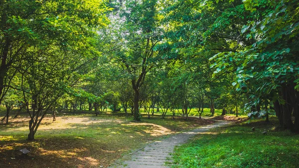 Camino entre los bosques en el parque cerca de West Lake, Hangzhou, China — Foto de Stock