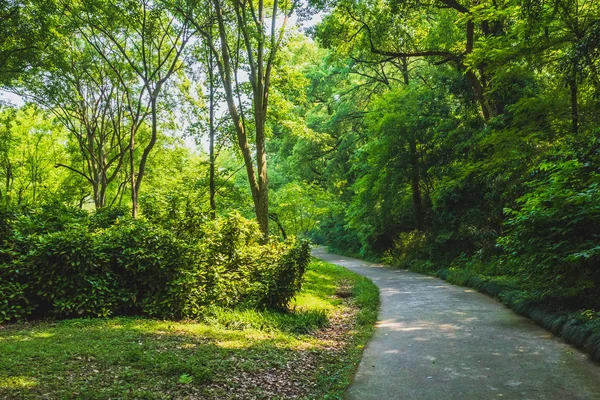 Camino entre los bosques en el parque cerca de West Lake, Hangzhou, China —  Fotos de Stock