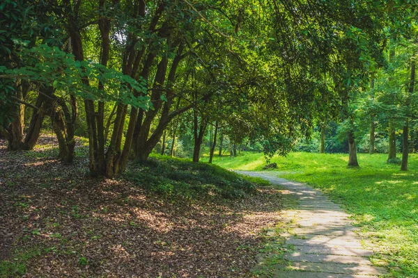 Camino entre los bosques en el parque cerca de West Lake, Hangzhou, China —  Fotos de Stock