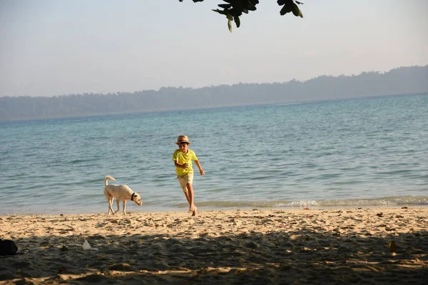 Genç çocuk köpekle oynarken eğleniyor. Telifsiz Stok Fotoğraflar