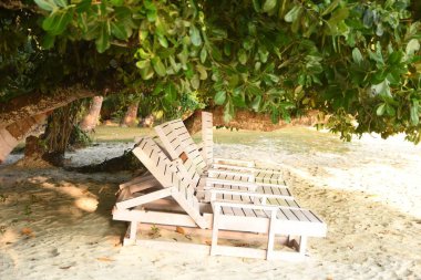 Sandalyeler ağaç gölgesinin altında