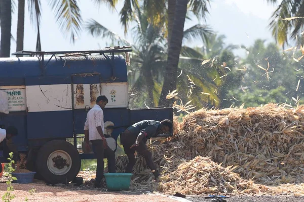 Indian farmers using��multicrop thresher — 스톡 사진