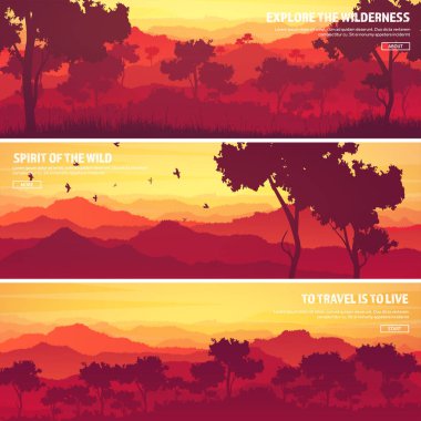 Dağ ve orman. Vahşi doğa manzara. Seyahat ve macera. Panorama. Ormana doğru. Ufuk çizgisi. Ağaçlar, sis, ahşap. Arka planlar se