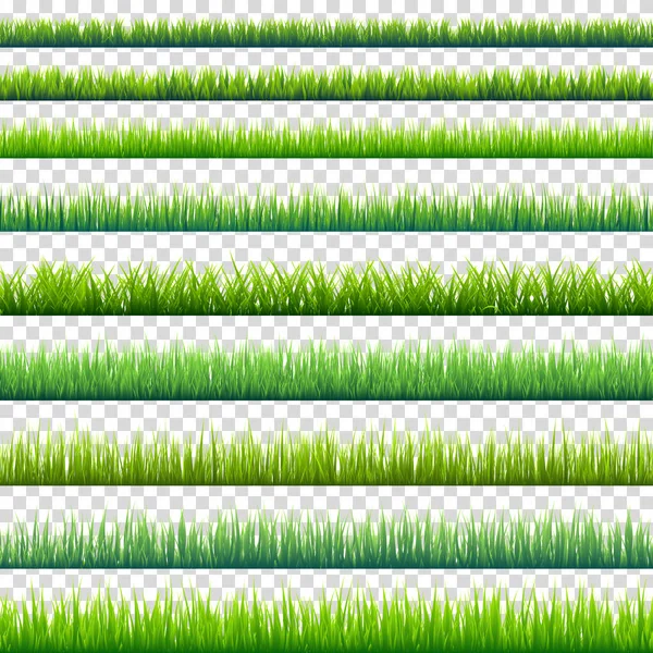 Gras geïsoleerd op transparante achtergrond set. Groene weide. Achtergrond van de natuur. Lente, zomer. — Stockvector