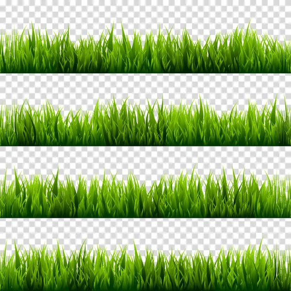 Grass isolated on transparent background set. Green meadow. Nature background. Spring, summer time. — Stock Vector